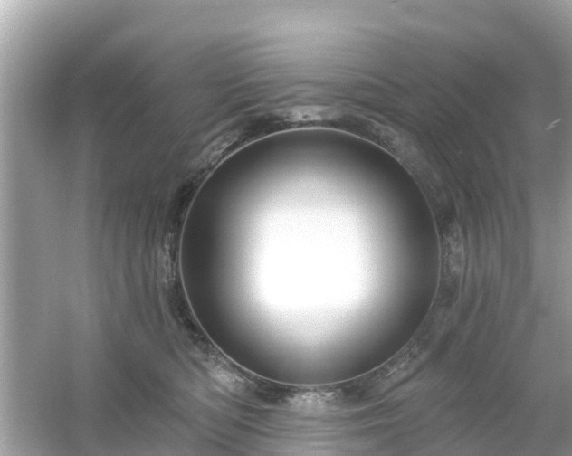 X0000054440422200508051904