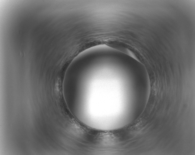 X0000054440424200508051904