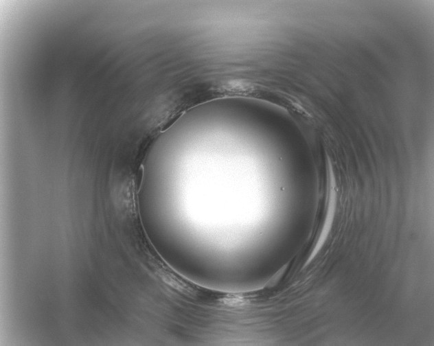 X0000054440425200508051904