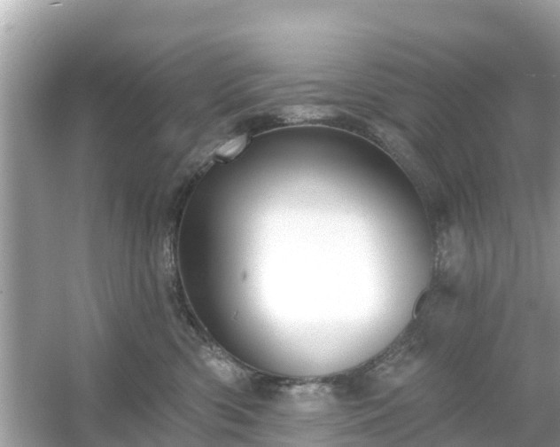 X0000054440426200508051904