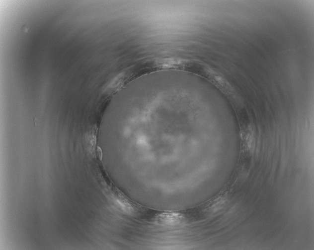 X0000054440427200508051904