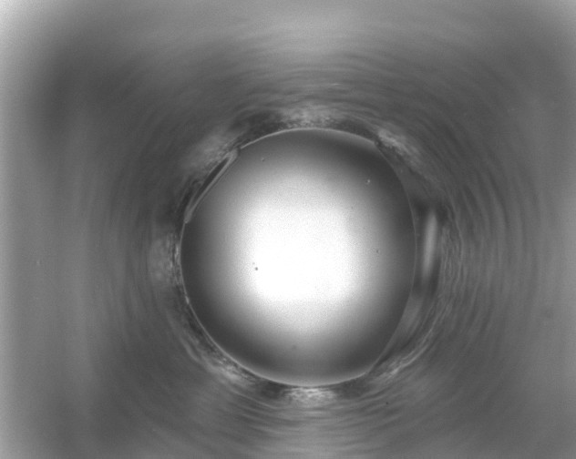 X0000054440429200508051903