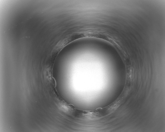 X0000054440430200508051903