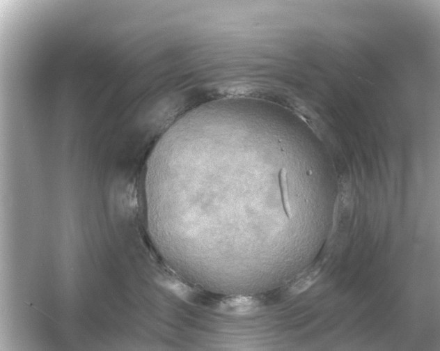 X0000054440431200508051903