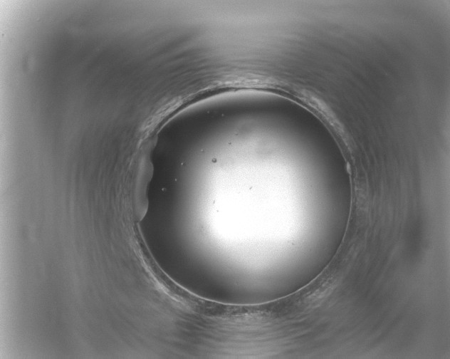 X0000054440433200508051903