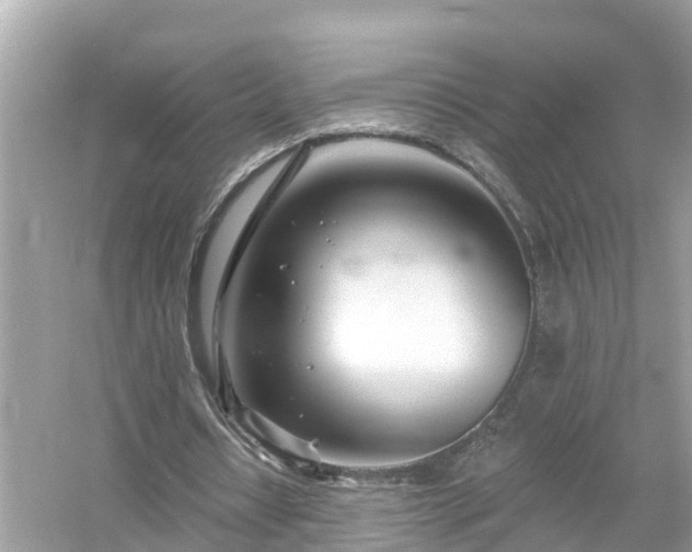 X0000054440434200508051903