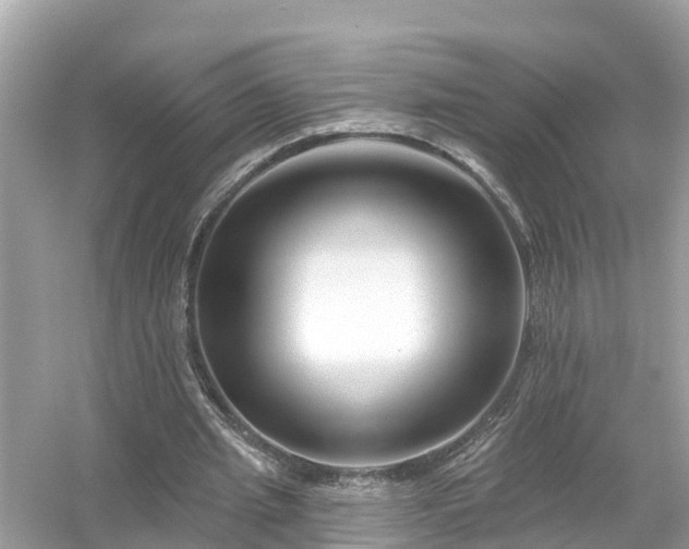 X0000054440437200508051903