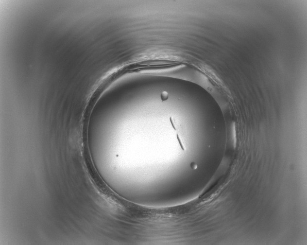 X0000054440438200508051903