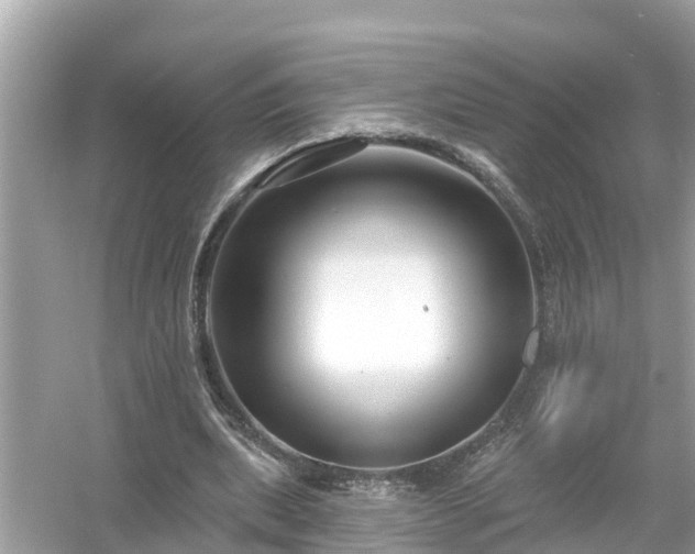 X0000054440439200508051903