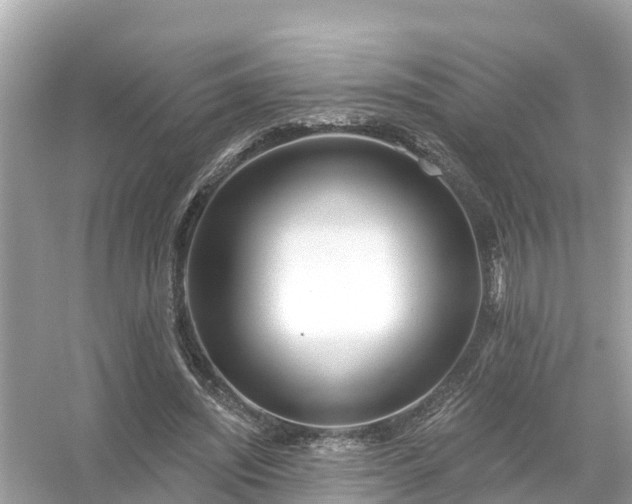 X0000054440444200508051903