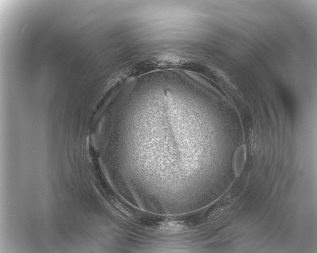 X0000054440451200508051903