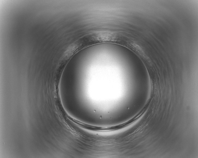 X0000054440453200508051903