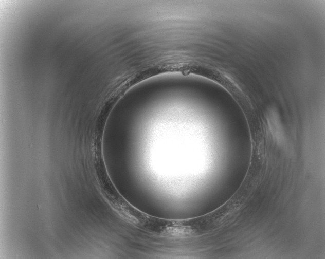 X0000054440455200508051903