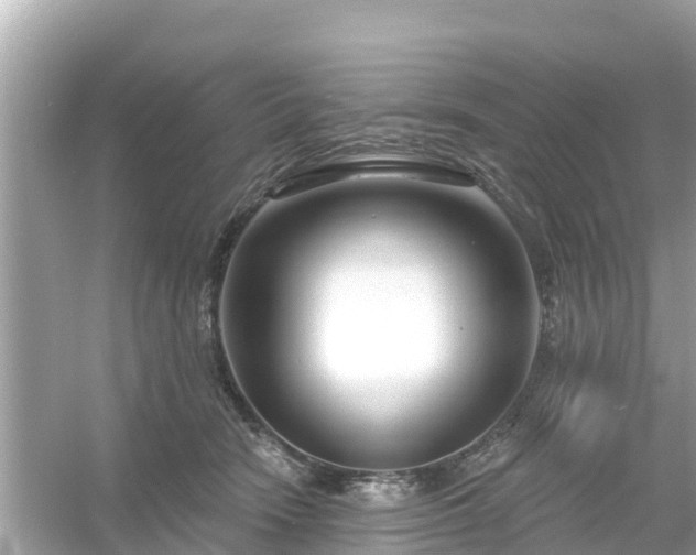 X0000054440466200508051903