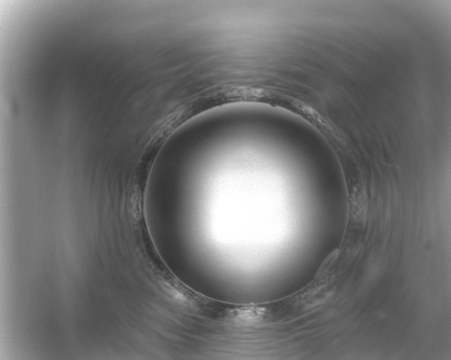 X0000054440474200508051903