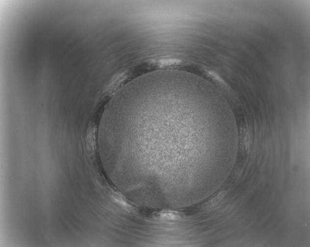 X0000054440475200508051903