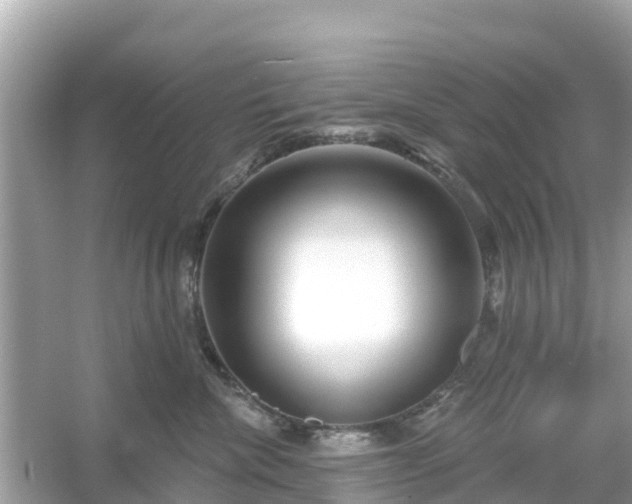 X0000054440476200508051903