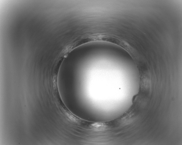 X0000054440477200508051903