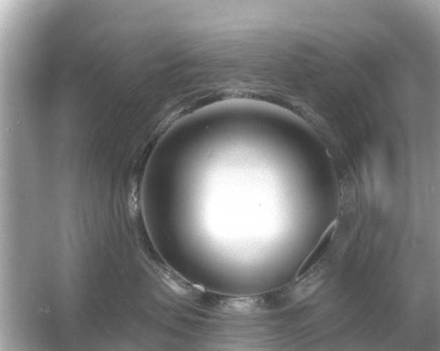 X0000054440479200508051903