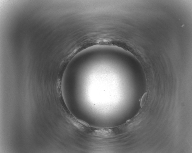 X0000054440480200508051903