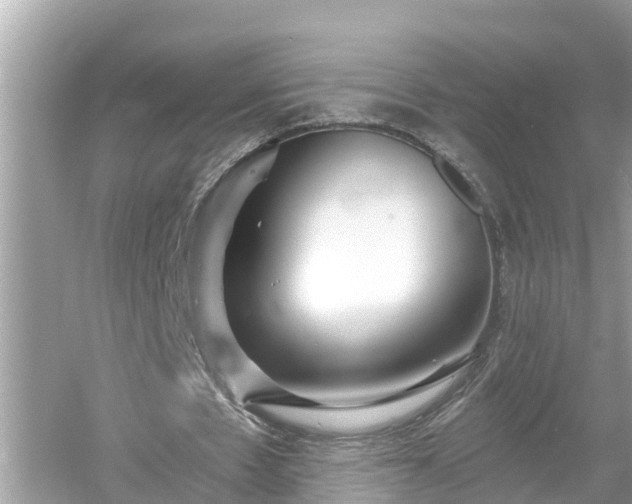 X0000054440481200508051903