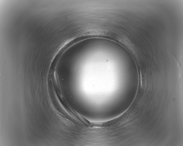 X0000054440483200508051903