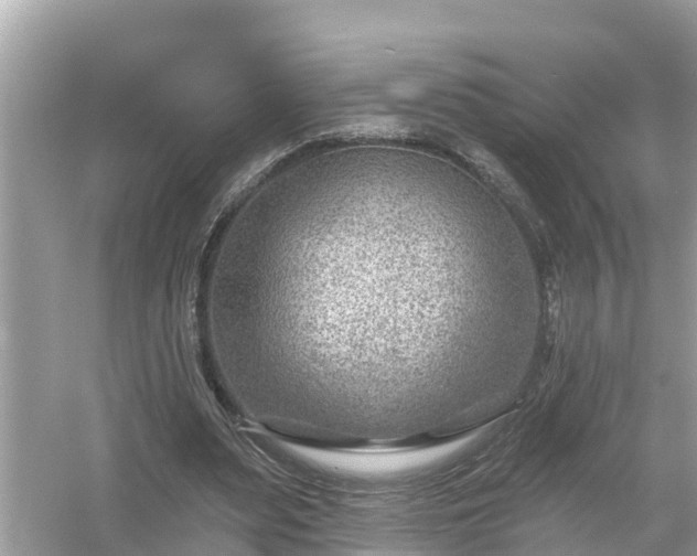 X0000054440487200508051902