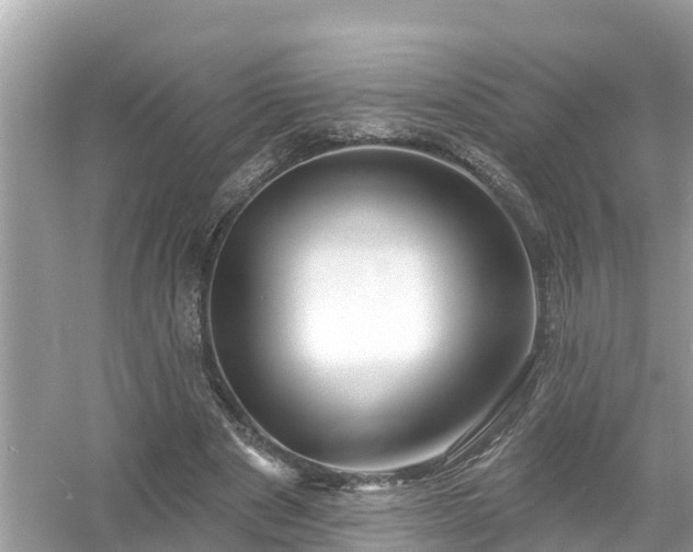 X0000054440489200508051902