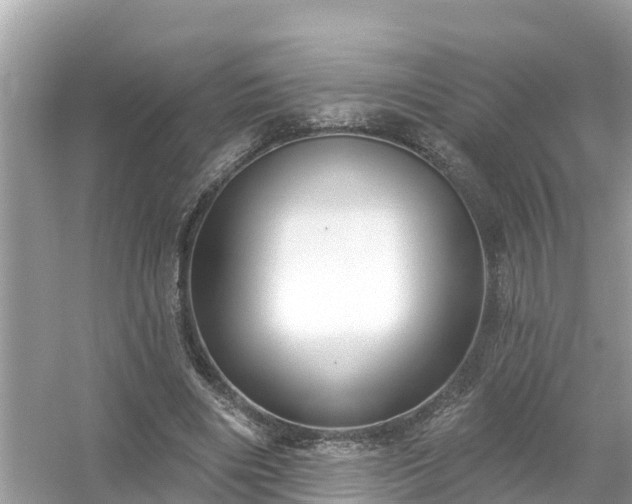 X0000054440490200508051902