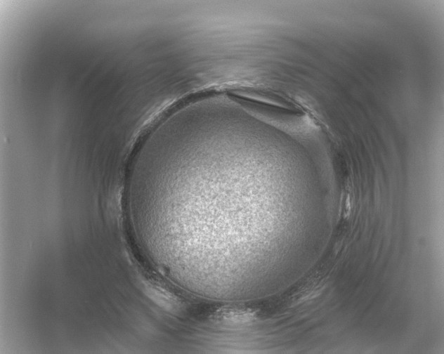 X0000054440491200508051902