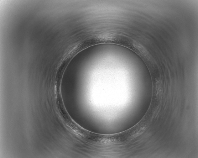 X0000054440494200508051902