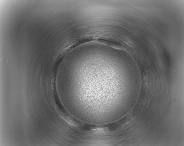 X0000054440499200508051902