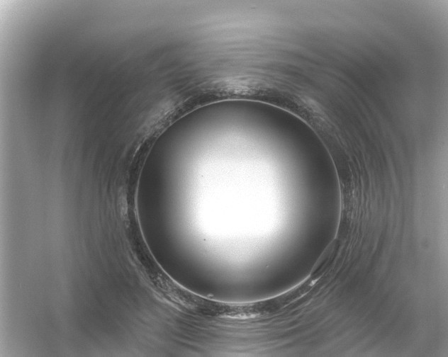 X0000054440500200508051902