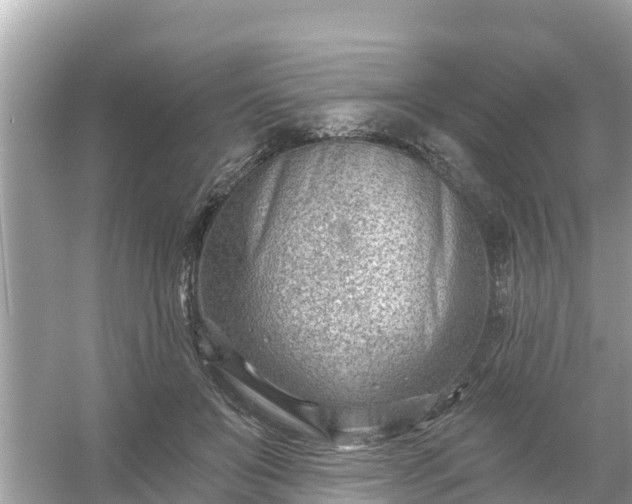 X0000054440503200508051902