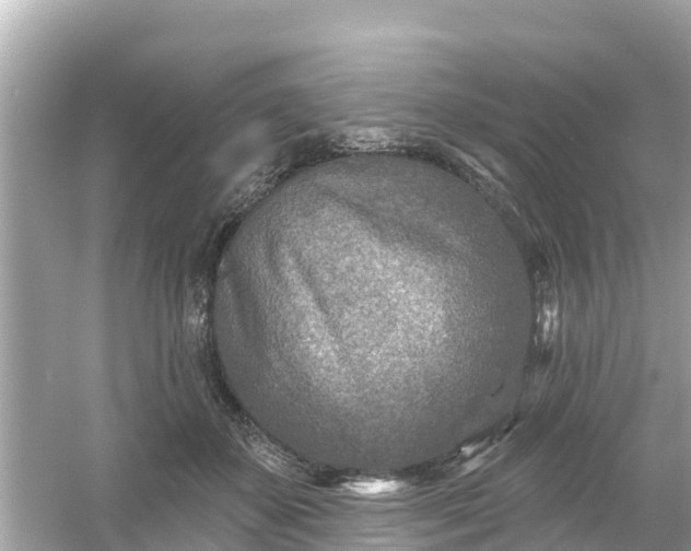 X0000054440507200508051902