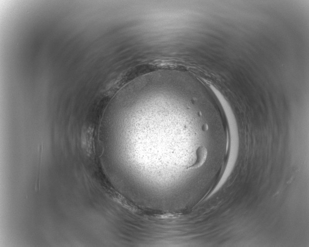 X0000054440511200508051902