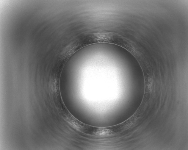 X0000054440514200508051902