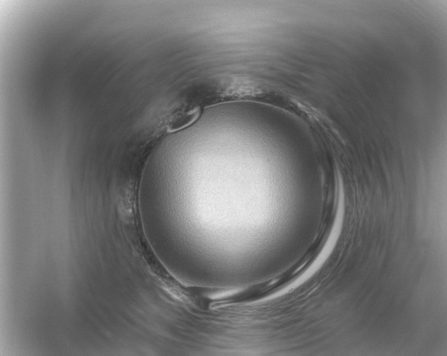 X0000054440517200508051902