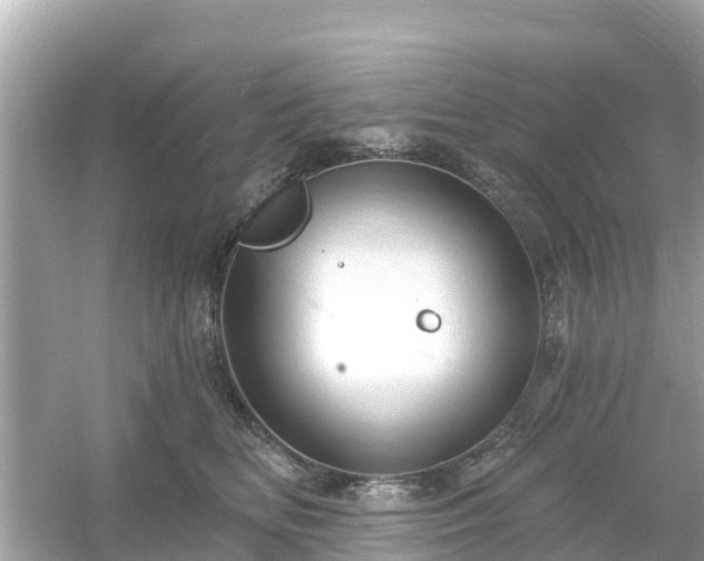 X0000054440518200508051902