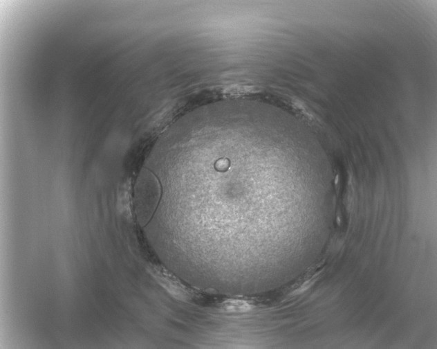 X0000054440519200508051902