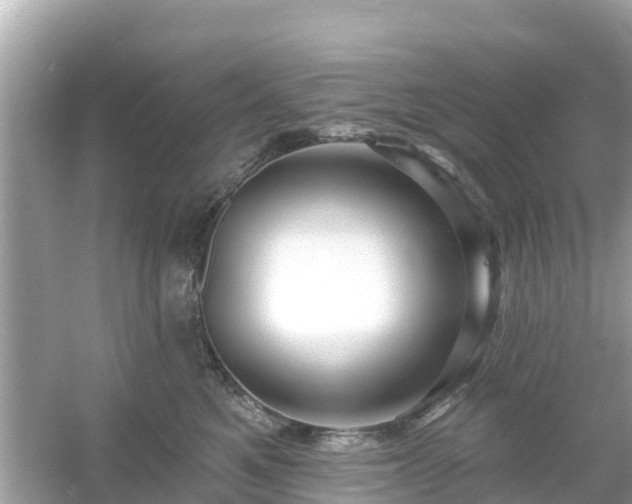 X0000054440521200508051902