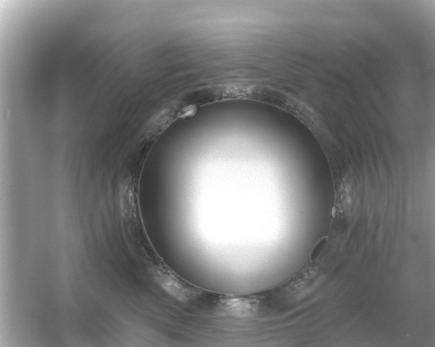 X0000054440522200508051902