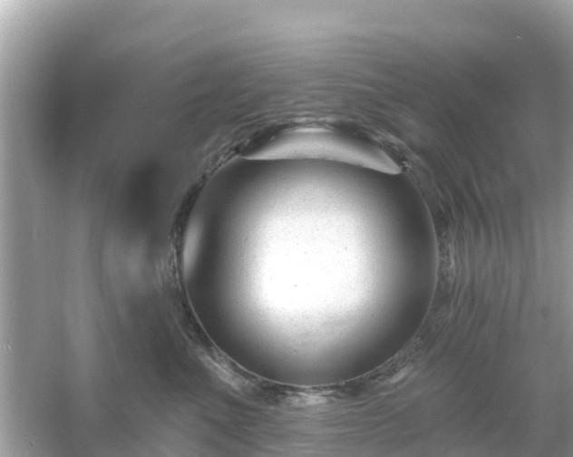 X0000054440523200508051902