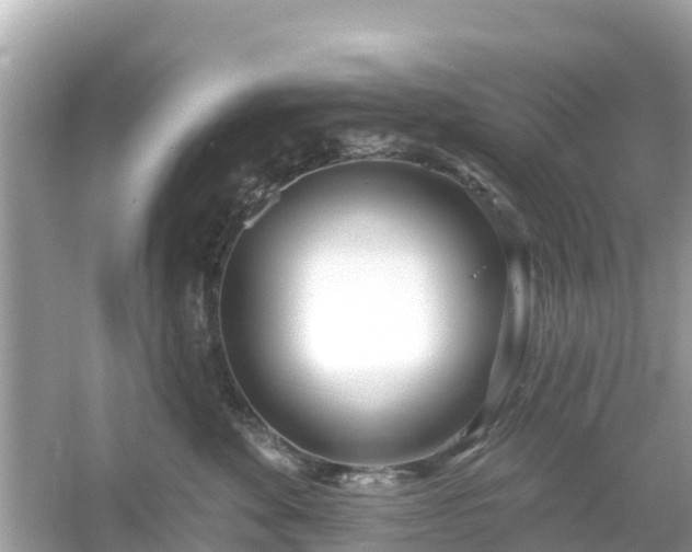 X0000054440524200508051902