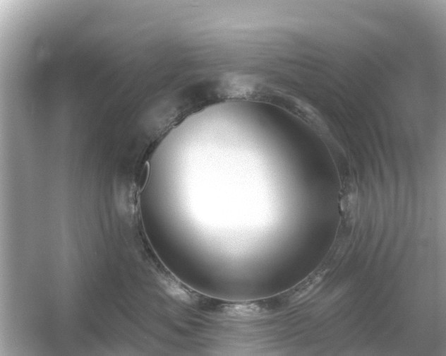 X0000054440525200508051902