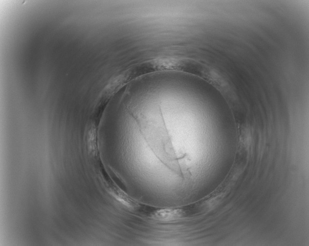 X0000054440526200508051902