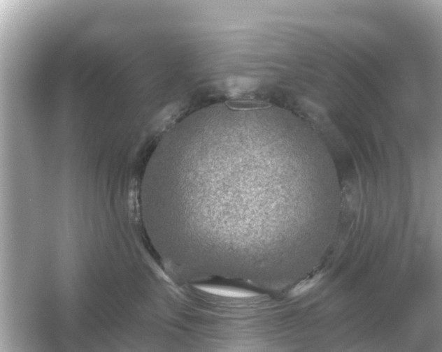 X0000054440527200508051902