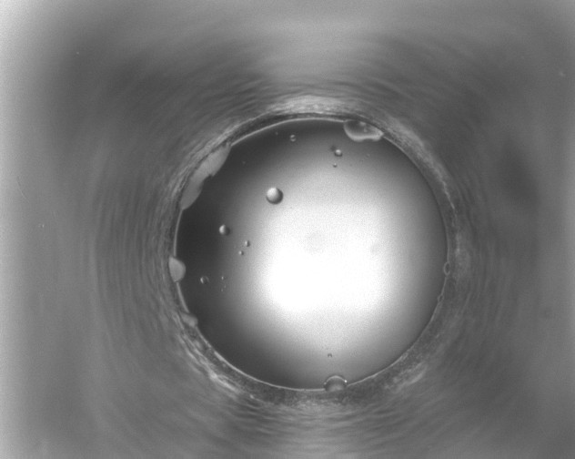 X0000054440529200508051901