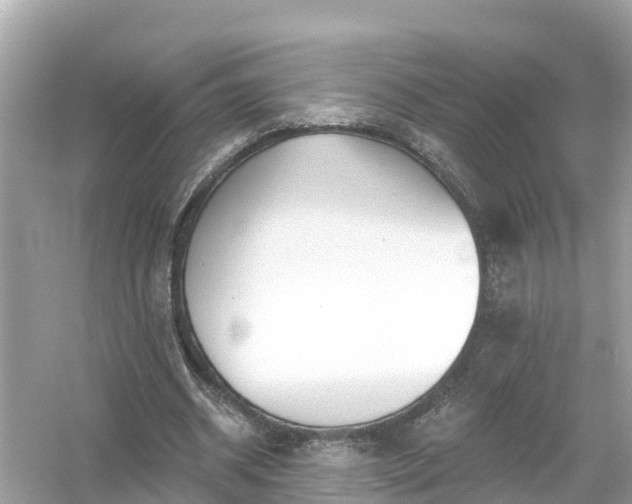 X0000054440534200508051901