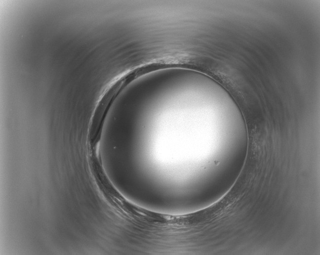 X0000054440536200508051901